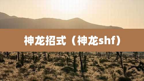 神龙招式（神龙shf）