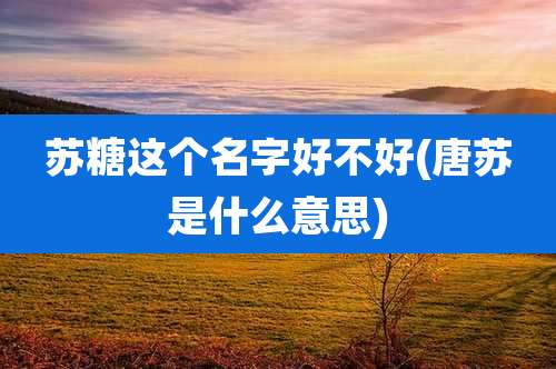 苏糖这个名字好不好(唐苏是什么意思)