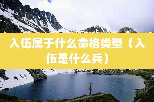 入伍属于什么命格类型(入伍是什么兵)