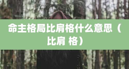 命主格局比肩格什么意思（比肩 格）