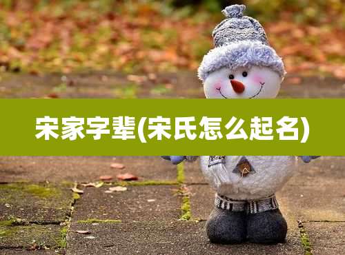 宋家字辈(宋氏怎么起名)