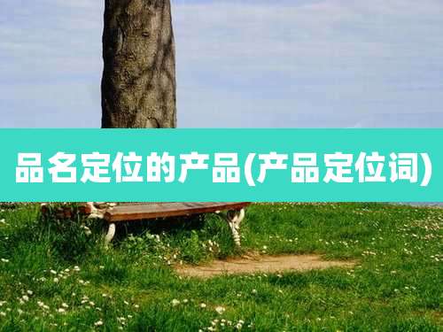 品名定位的产品(产品定位词)