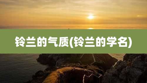 铃兰的气质(铃兰的学名)