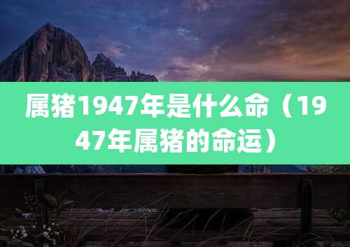 属猪1947年是什么命（1947年属猪的命运）