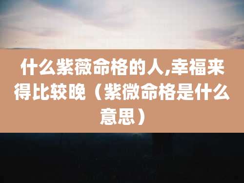 什么紫薇命格的人,幸福来得比较晚（紫微命格是什么意思）