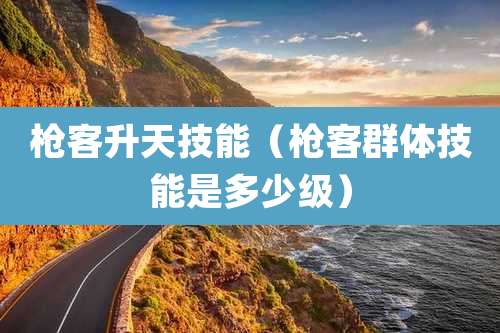 枪客升天技能（枪客群体技能是多少级）