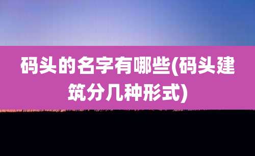 码头的名字有哪些(码头建筑分几种形式)
