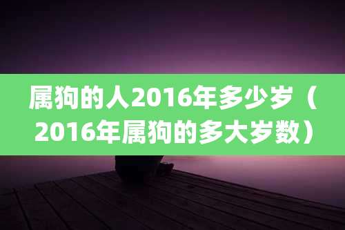 属狗的人2016年多少岁（2016年属狗的多大岁数）