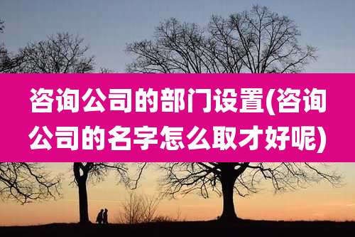 咨询公司的部门设置(咨询公司的名字怎么取才好呢)