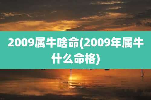 2009属牛啥命(2009年属牛什么命格)