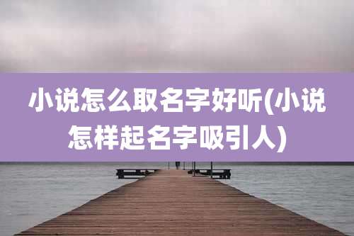 小说怎么取名字好听(小说怎样起名字吸引人)