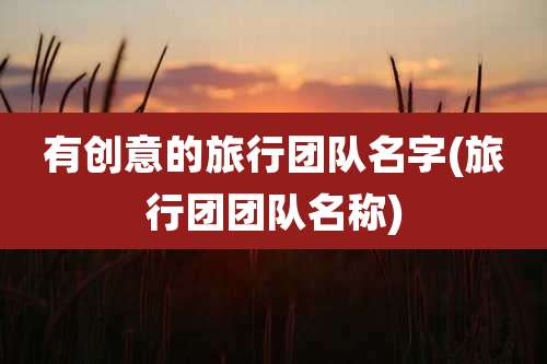 有创意的旅行团队名字(旅行团团队名称)