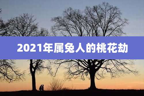 2021年属兔人的桃花劫