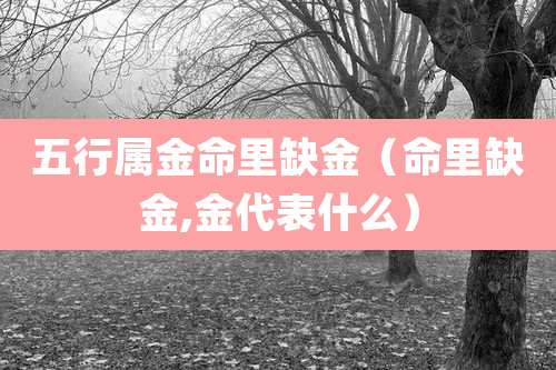 五行属金命里缺金（命里缺金,金代表什么）