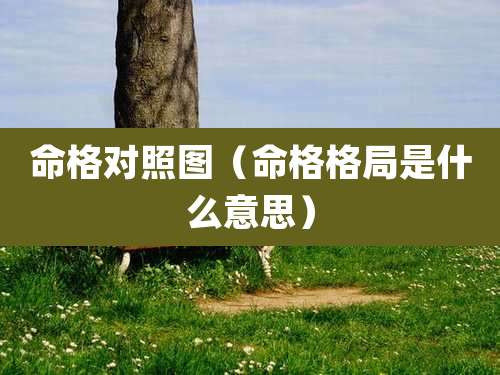 命格对照图（命格格局是什么意思）