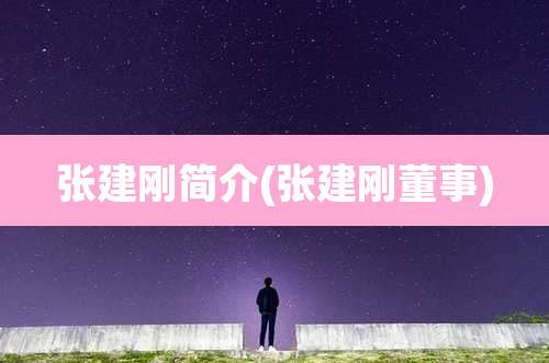 张建刚简介(张建刚董事)