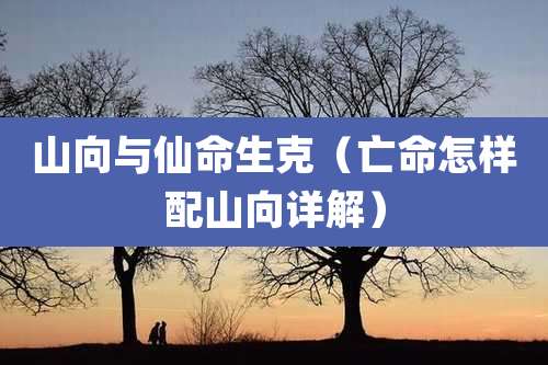 山向与仙命生克（亡命怎样配山向详解）