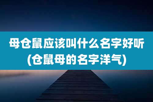 母仓鼠应该叫什么名字好听(仓鼠母的名字洋气)