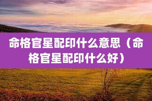 命格官星配印什么意思（命格官星配印什么好）