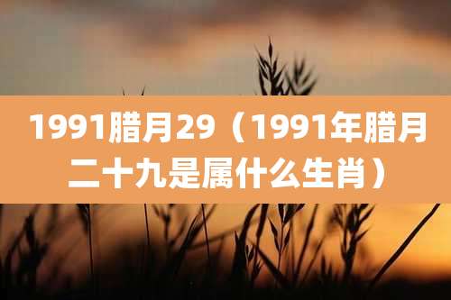 1991腊月29（1991年腊月二十九是属什么生肖）