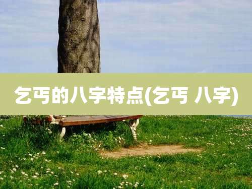 乞丐的八字特点(乞丐 八字)