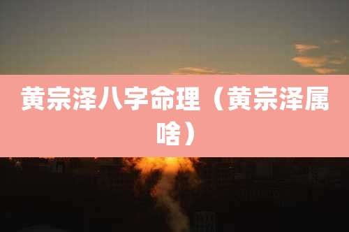 黄宗泽八字命理（黄宗泽属啥）