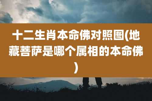 十二生肖本命佛对照图(地藏菩萨是哪个属相的本命佛)