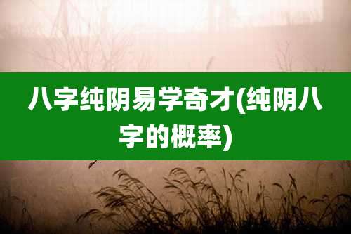 八字纯阴易学奇才(纯阴八字的概率)