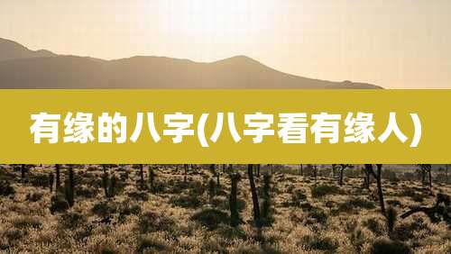 有缘的八字(八字看有缘人)