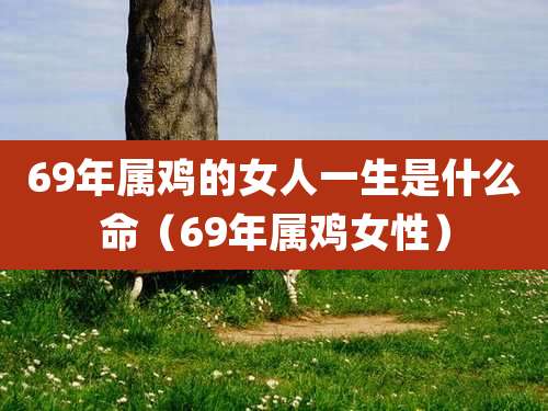 69年属鸡的女人一生是什么命（69年属鸡女性）