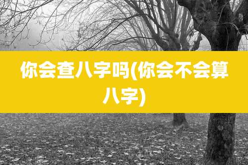 你会查八字吗(你会不会算八字)