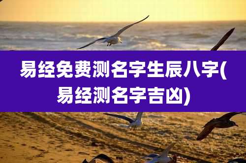 易经免费测名字生辰八字(易经测名字吉凶)