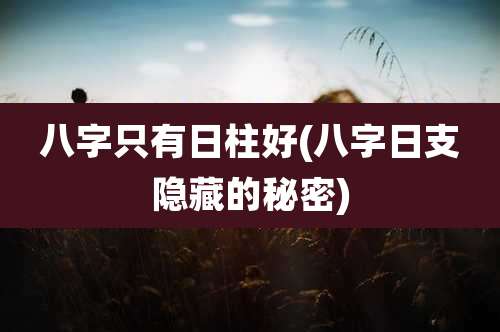 八字只有日柱好(八字日支隐藏的秘密)