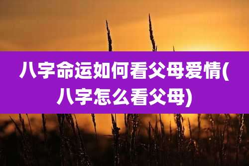 八字命运如何看父母爱情(八字怎么看父母)