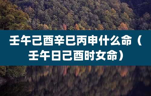 壬午己酉辛巳丙申什么命（壬午日己酉时女命）