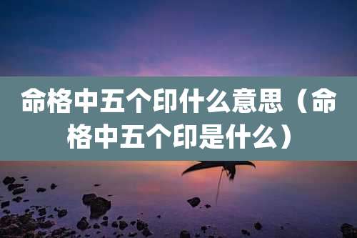 命格中五个印什么意思（命格中五个印是什么）
