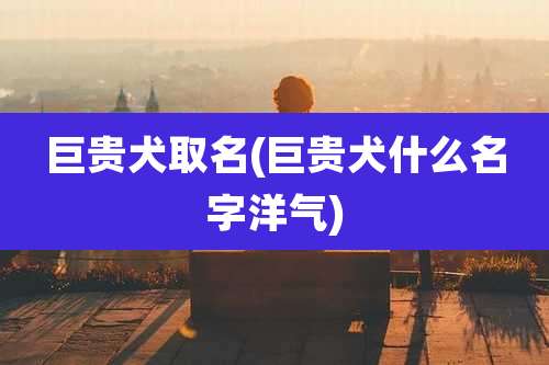 巨贵犬取名(巨贵犬什么名字洋气)