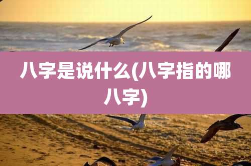 八字是说什么(八字指的哪八字)