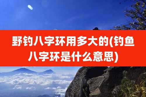 野钓八字环用多大的(钓鱼八字环是什么意思)
