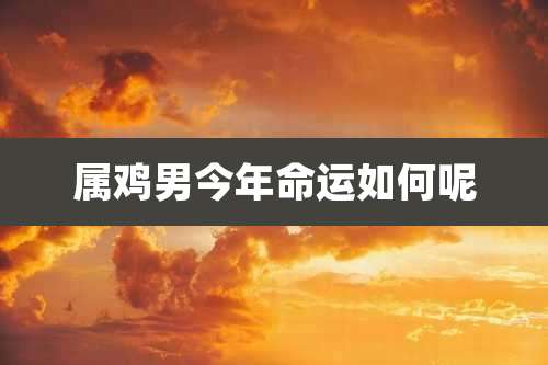 属鸡男今年命运如何呢