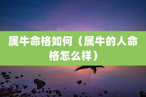 属牛命格如何(属牛的人命格怎么样)