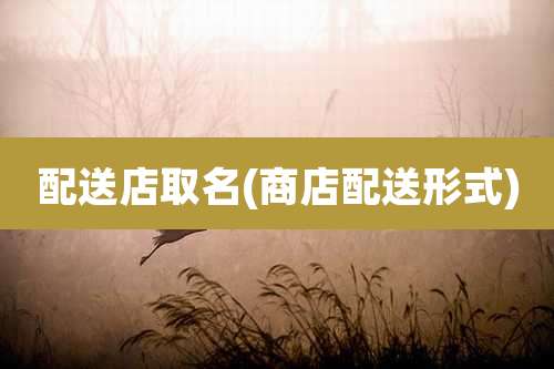 配送店取名(商店配送形式)