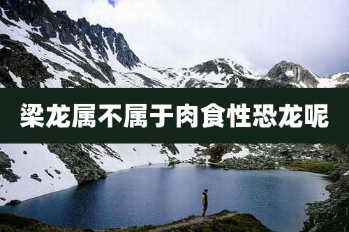 梁龙属不属于肉食性恐龙呢