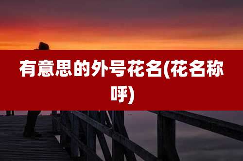 有意思的外号花名(花名称呼)