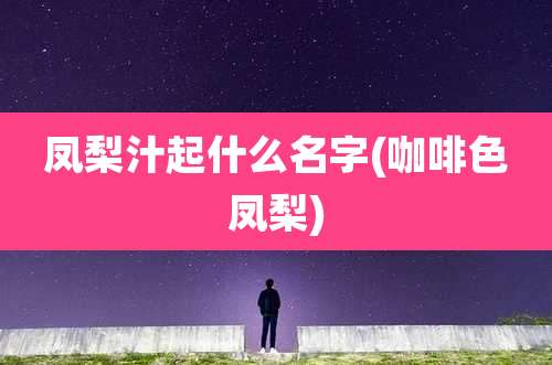 凤梨汁起什么名字(咖啡色凤梨)