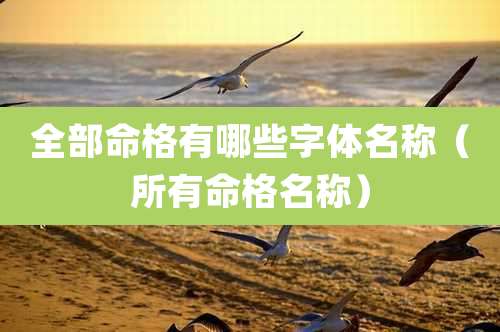 全部命格有哪些字体名称（所有命格名称）