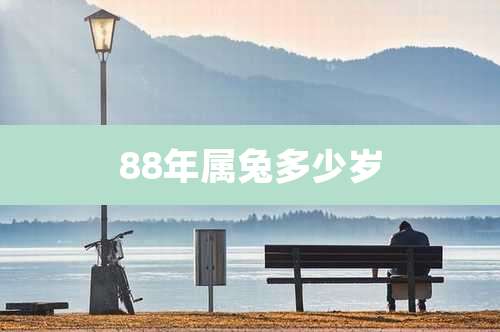 88年属兔多少岁