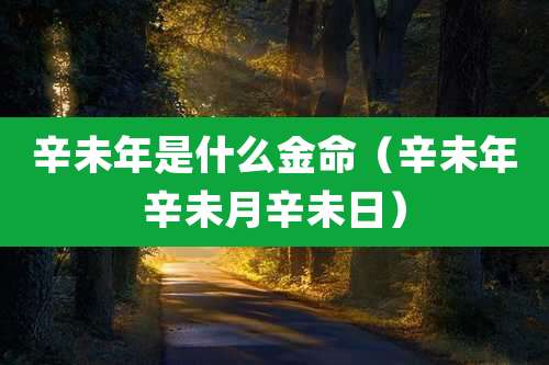 辛未年是什么金命（辛未年辛未月辛未日）