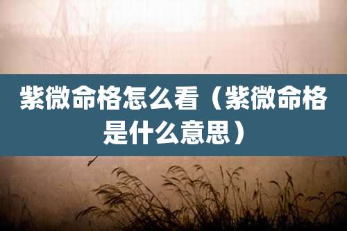 紫微命格怎么看（紫微命格是什么意思）