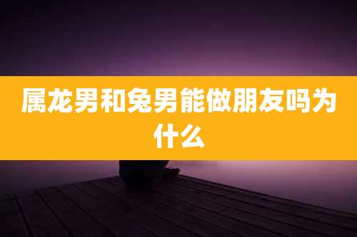 属龙男和兔男能做朋友吗为什么
